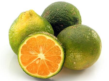 Limones Mandarinos malla 5 unidades