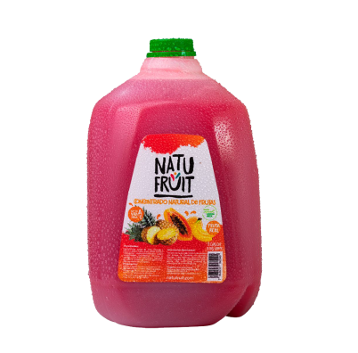 CONCENTRADO NATURAL FRUTAS NATU-FRUIT 1/1GL