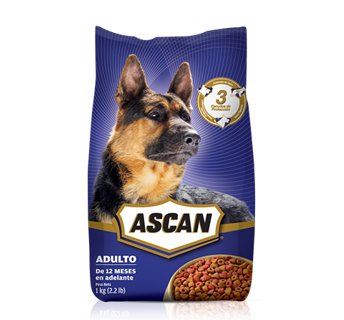 ALIMENTO ASCAN ADULTO GRANEL X KG