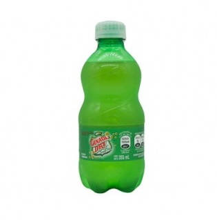 Ginger Ale 355ml desechable