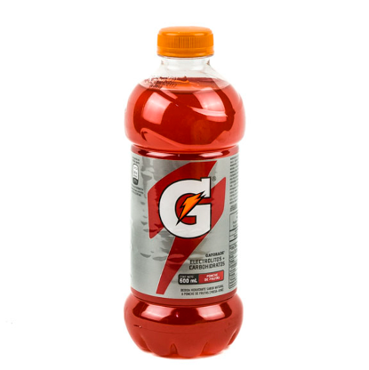 Gatorade Fruit Ponch 600 mL